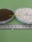 芹菜种子丸粒化技术