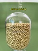 生菜种子丸粒化技术