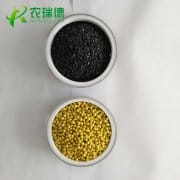 烟草育苗前种子如何处理？