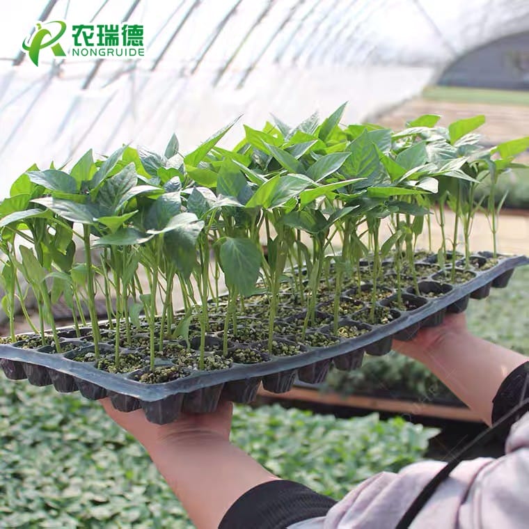 微信图片_20201031082202 - 副本.jpg