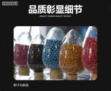 芹菜标准化种植创新方案