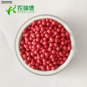 中药材丸粒化技术的发展前景