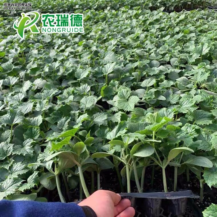 微信图片_20201031082217 - 副本.jpg