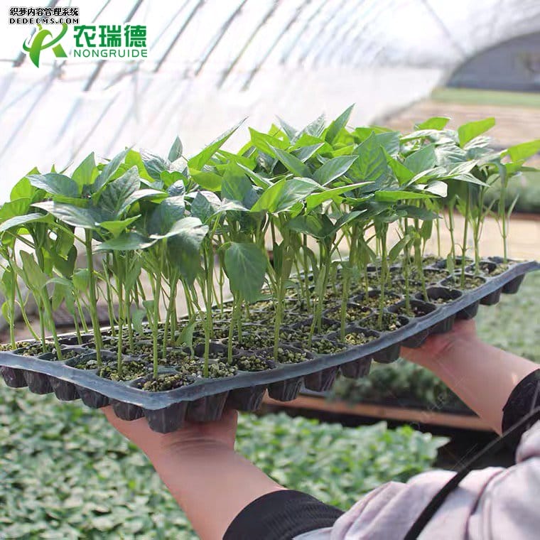 微信图片_20201031082202 - 副本 (2).jpg