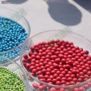 ​批次式种子丸粒机