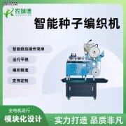 辣椒编绳直播种植